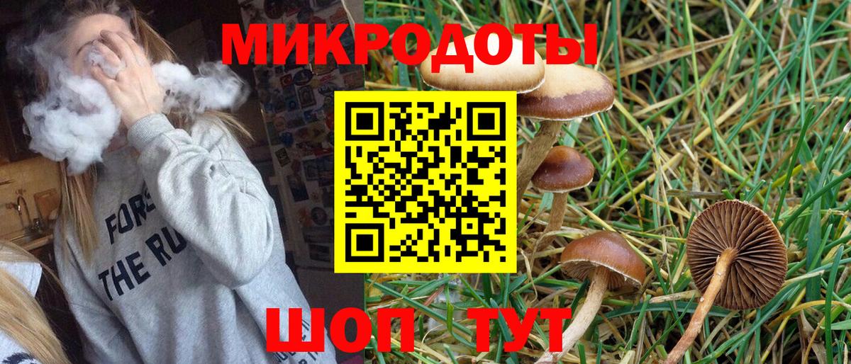 Галлюциногенные грибы ЛСД Гатчина
