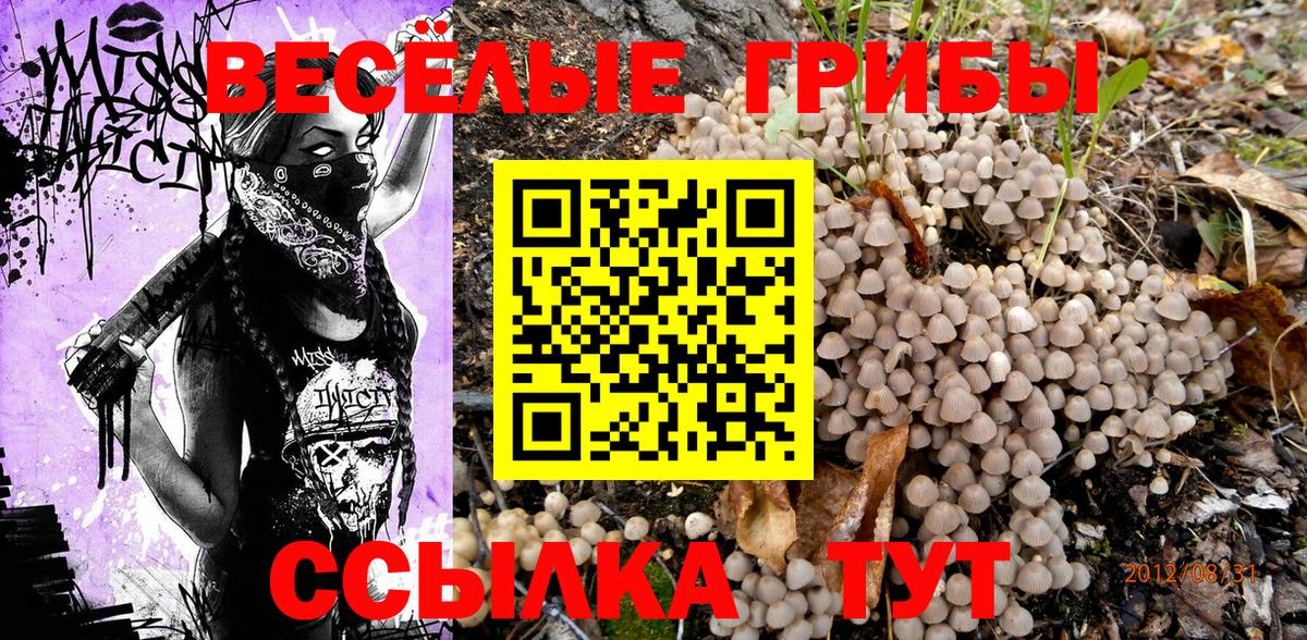Галлюциногенные грибы Magic Shrooms  Галлюциногенные грибы мухоморы  Гатчина  Вход с VPN 